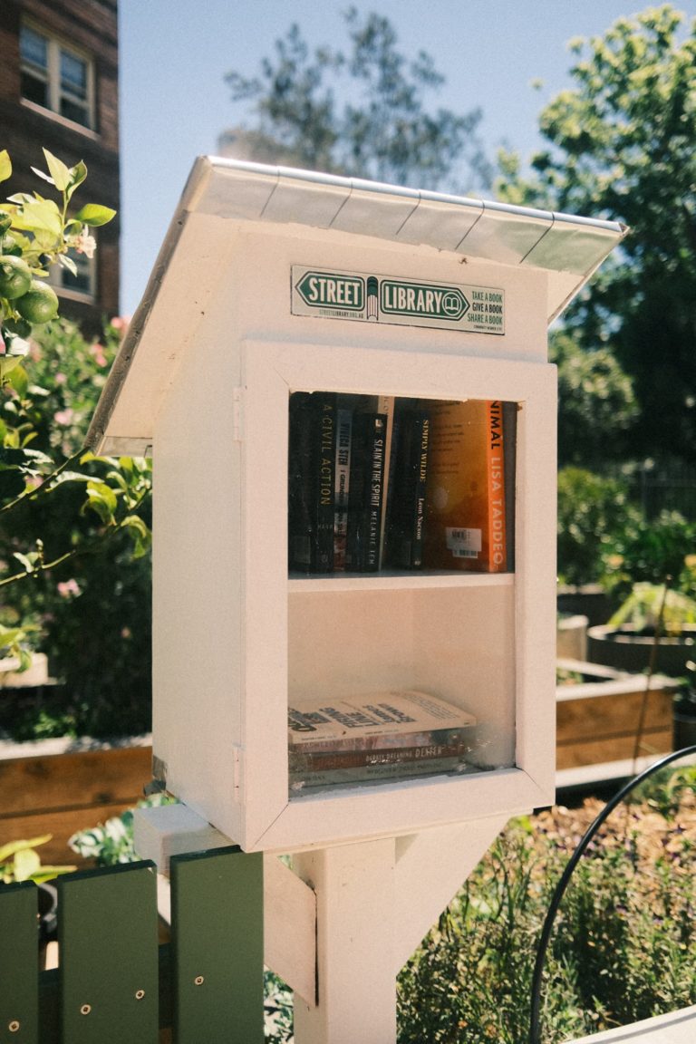 Street Libraries